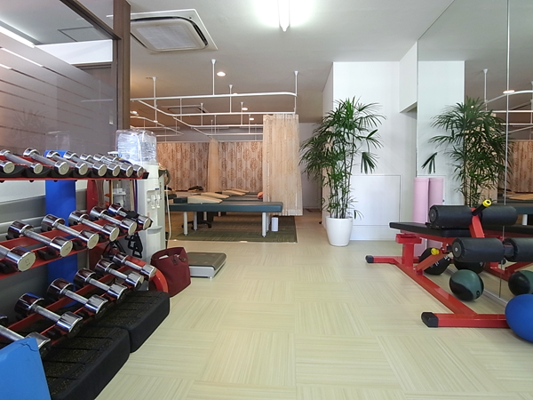 wellness08